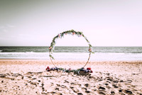 Fair Meadow Preset Photographs