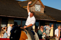 Rodeo Bull